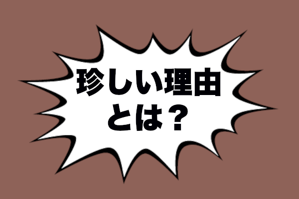 再婚しない珍しい理由